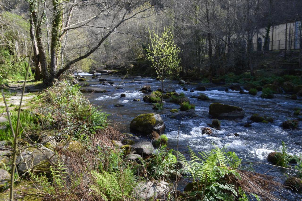 Las Palmeras Caldas De Reis Εξωτερικό φωτογραφία