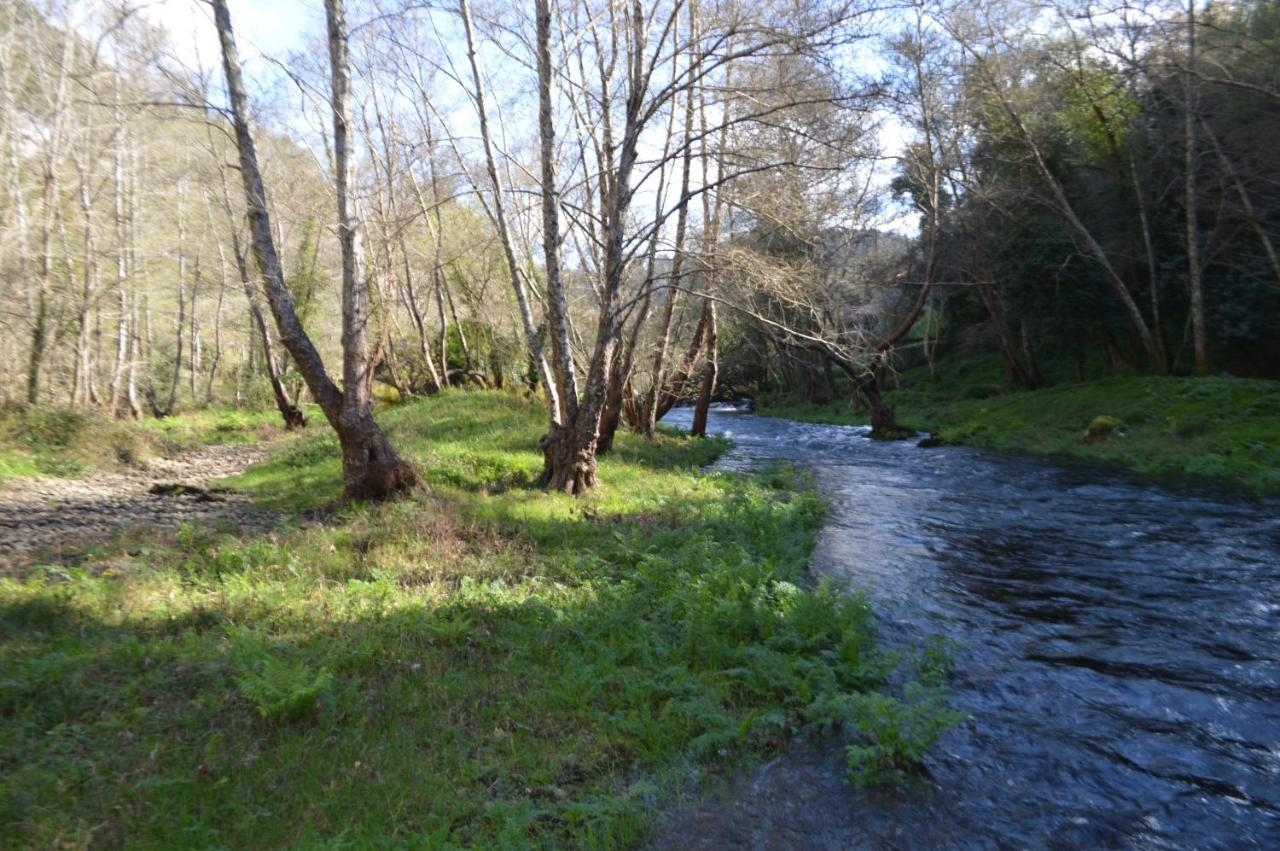 Las Palmeras Caldas De Reis Εξωτερικό φωτογραφία